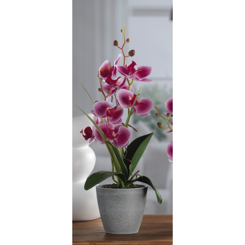 Vaso /Orchidea 7F A4C Diam 10*H38 vendita online - negozio cinese Fiore E  Piante