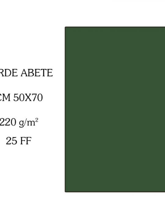 Verde Abete Bristol Colorline 50*70 220G