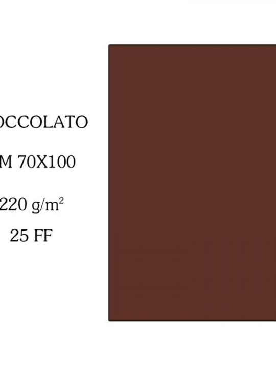 Canson Cartoncino 70X100Cm 220G Cioccola