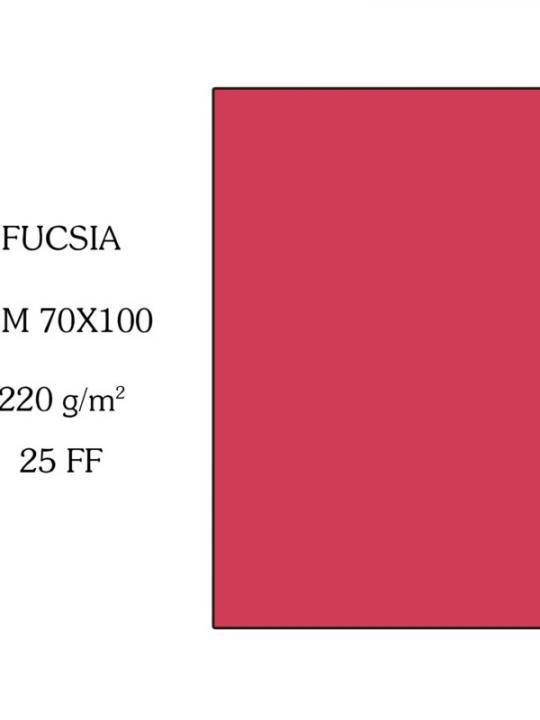 Canson Cartoncino 70X100Cm 220G Fucsia X