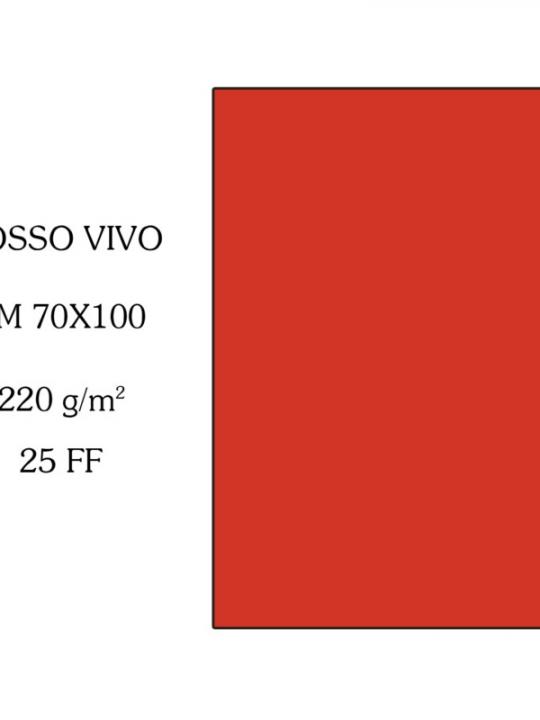 Canson Cartoncino 70X100Cm 220G Rosso