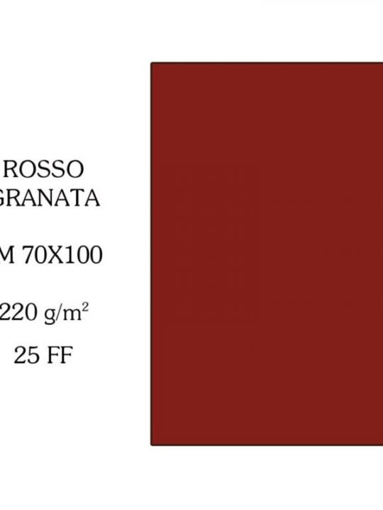 Canson Cartoncino 70X100Cm 220G Rosso Gr