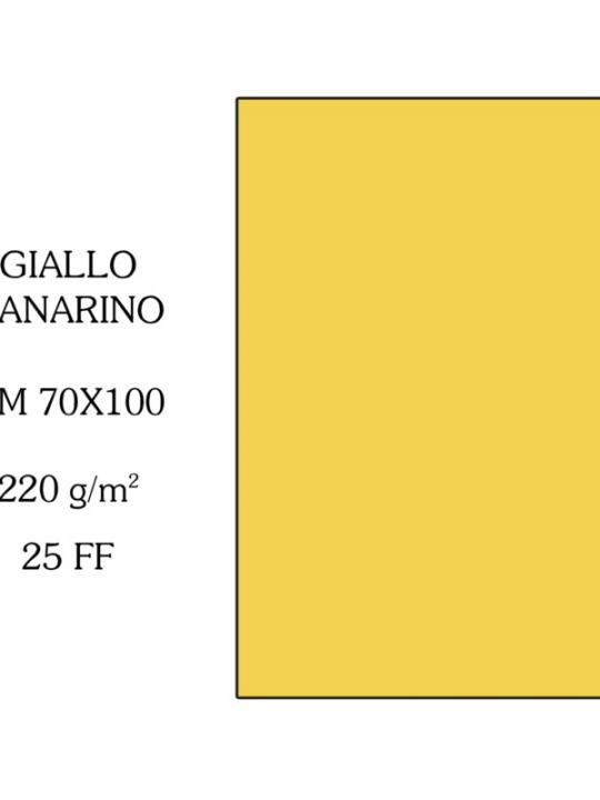 Cartoncino 70X100Cm Giallo Canar