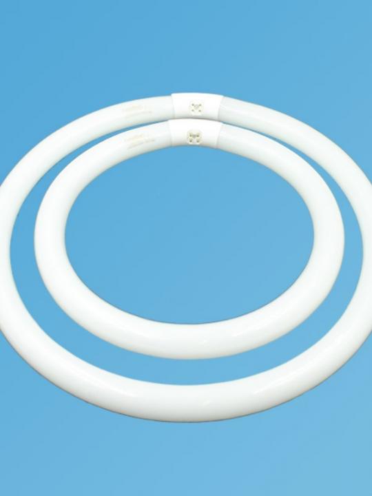 Lampada Al Neon Circolare 32Wluce Fredda