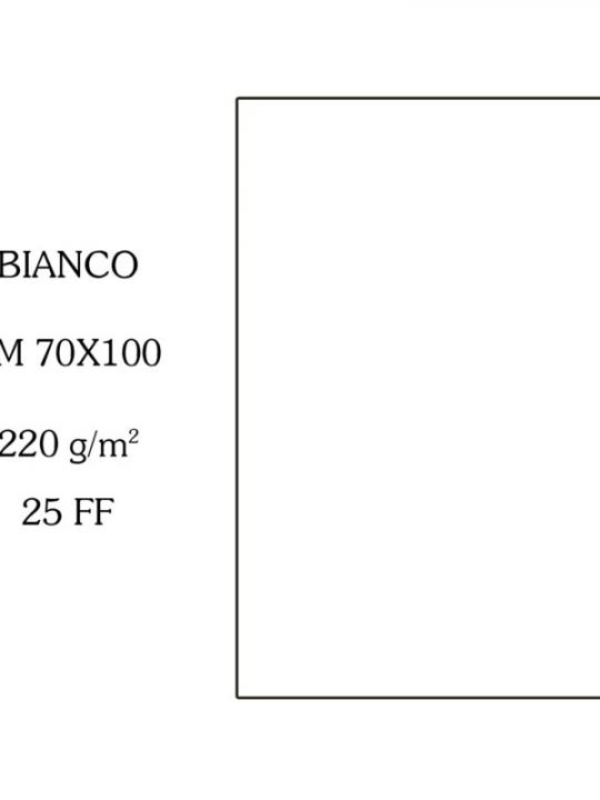 Canson Cartoncino 70X100Cm 220G Bianco