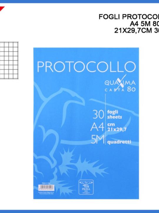 Fogli Protocollo A4 5M 80G 21X29.7Cm 30